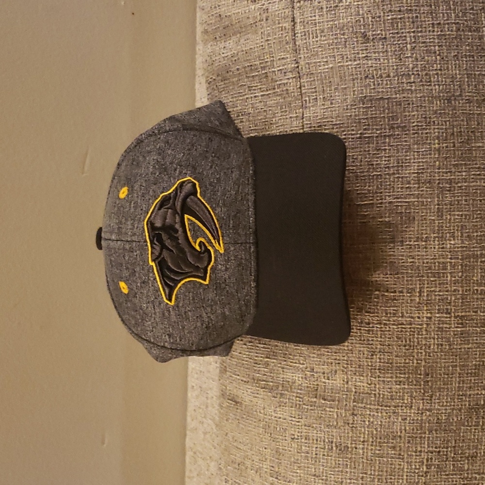 NWOT Nashville Predators Youth Hat